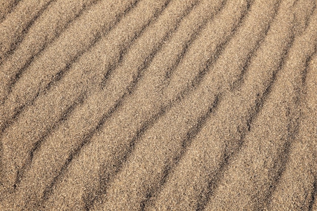 Vista dettagliata della consistenza del suolo da vicino