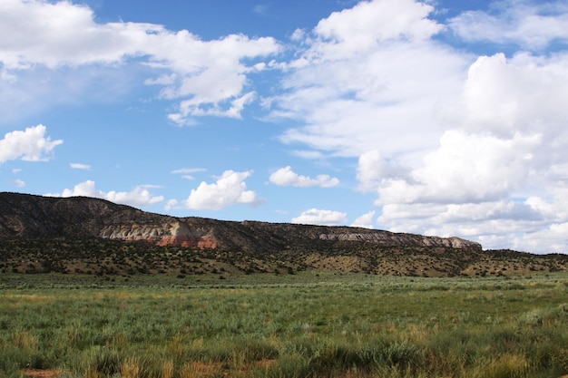 Vista di campo verde con catena montuosa rocciosa contro un cielo nuvoloso