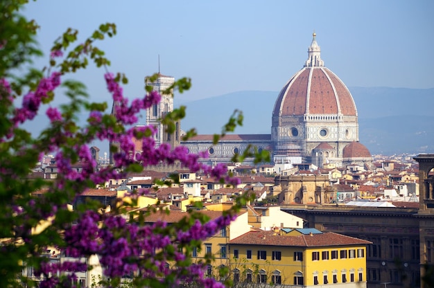 Vista di Firenze all'ora dell'alba dal punto di vista, italia