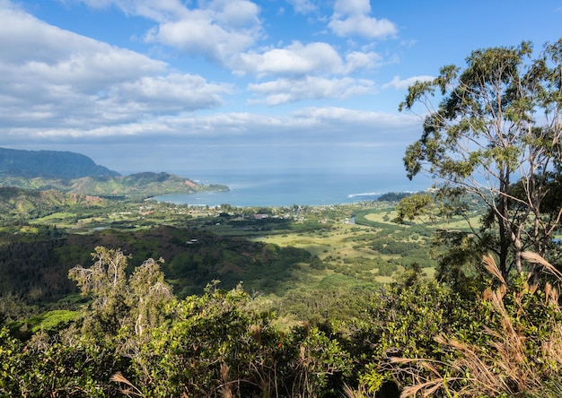 Vista di Hanalei da Okolehao Trail Kauai