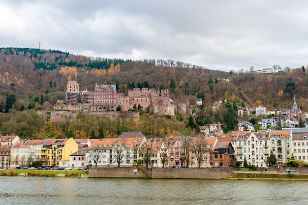 Vista di Heidelberg con il castello di Baden-Wurttemberg Germania