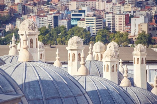 Vista di Istanbul con cupole ed edifici