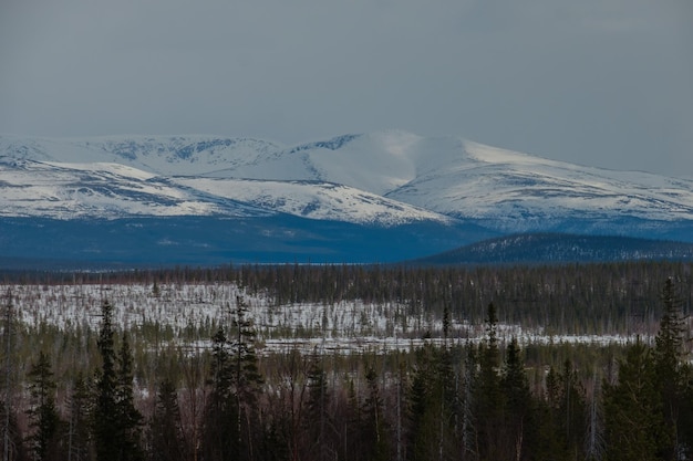 Vista di Khibiny innevata nella regione di Kirovsk Murmansk