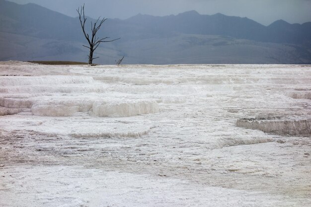 Vista di Mammoth Hot Springs nel Parco Nazionale di Yellowstone