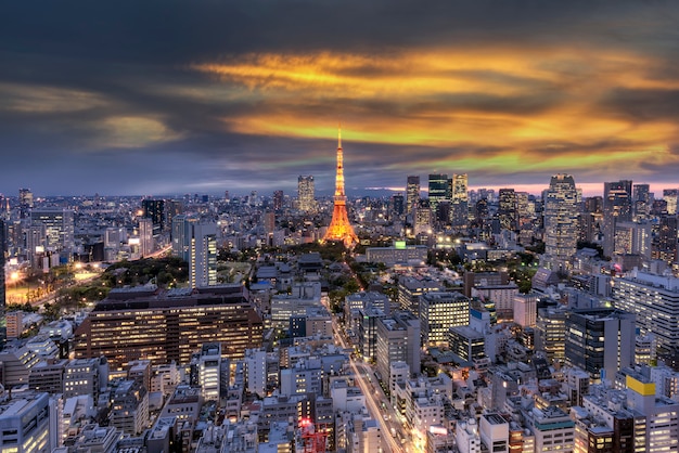 Vista di occhio di uccello della città a Tokyo Giappone.