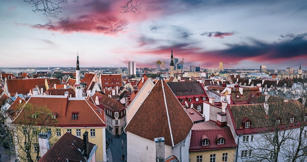 Vista di Tallinn al tramonto