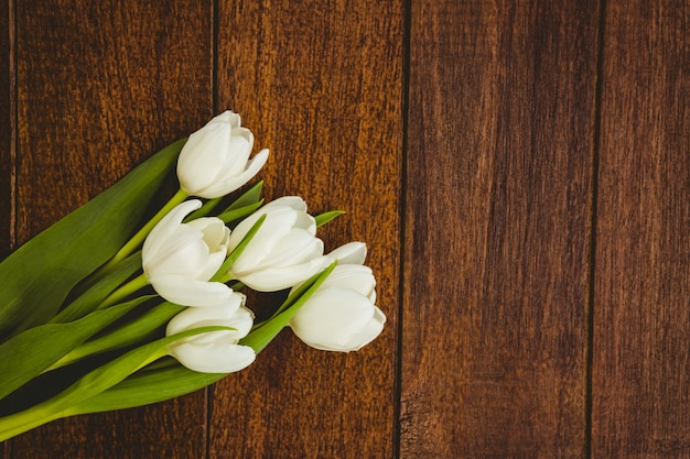 Vista di un bouquet di fiori bianchi