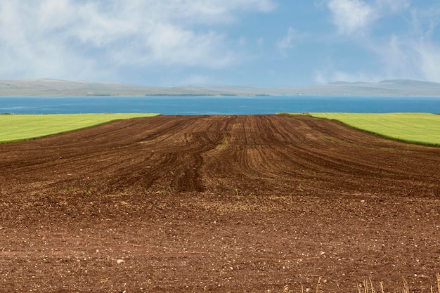 Vista di un campo arato preparato per piantare colture Terreno arato con filari di solchi