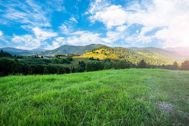 Vista di un campo coperto di erba vicino alle montagne e ad un cielo blu