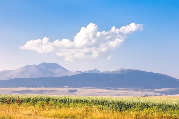 Vista di un campo giallo e verde e colline in lontananza Tonica