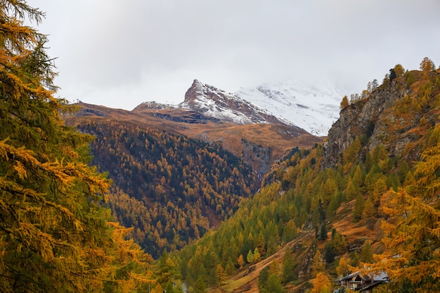 Vista di un paesaggio in montagna