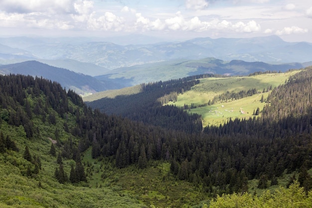 Vista di un piccolo villaggio nella valle delle montagne Polonyna nei Carpazi un meraviglioso paesaggio estivo Marmaroshchyna Maramures Ucraina