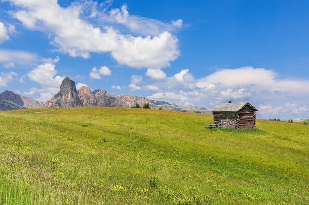 Vista di un prato alpino con un bel cielo nelle Dolomiti italiane.