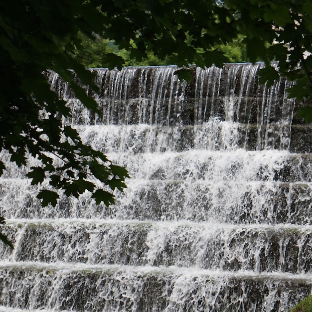 Vista di una cascata nella foresta