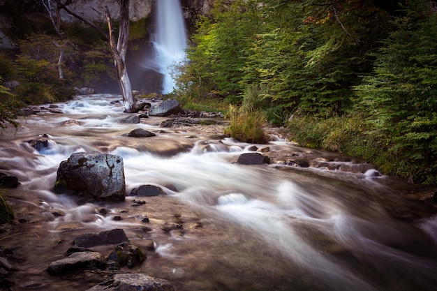 Vista di una cascata nella foresta