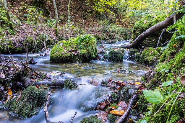 Vista di una cascata nella foresta