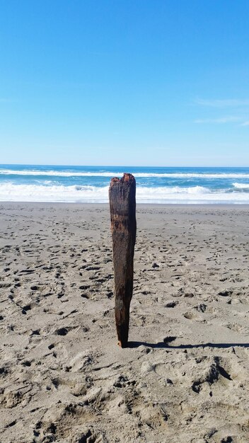 Vista di una spiaggia tranquilla contro un cielo blu limpido