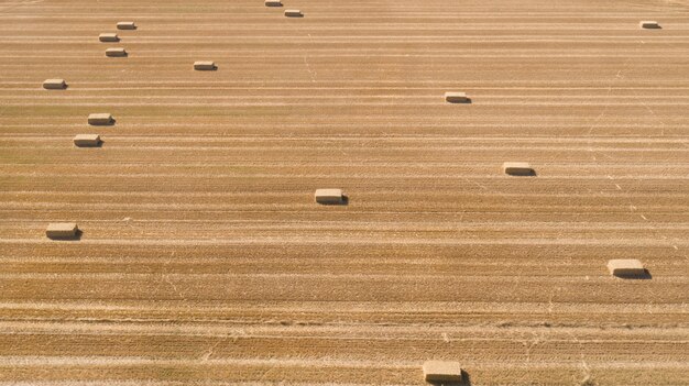 Vista drone campo agricolo