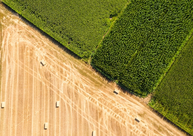 Vista drone campo agricolo