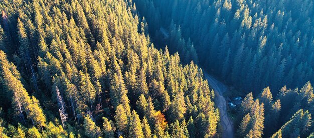 Vista drone di una strada di montagna in una foresta autunnale