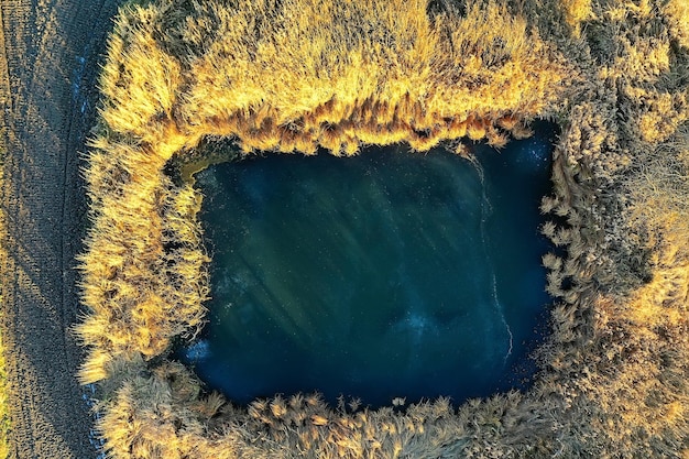 vista drone paesaggio campo agricolo