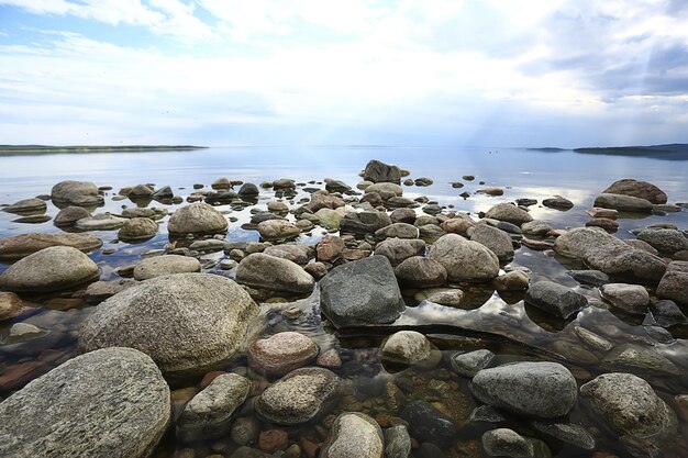 vista estiva del paesaggio lacustre, natura del nord, ecologia della costa