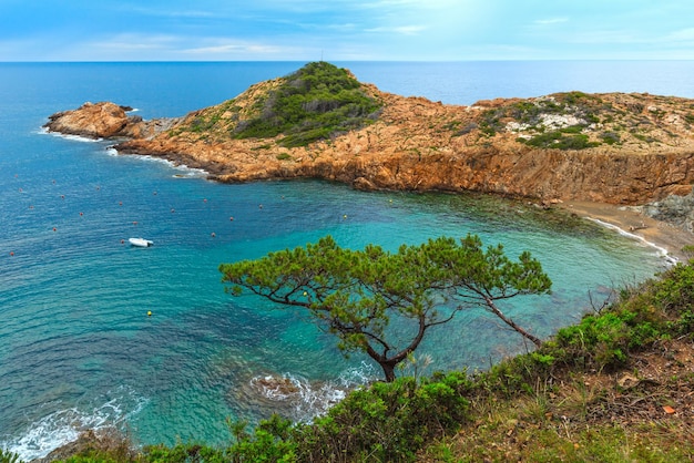 Vista estiva della baia del mare con una piccola spiaggia selvaggia e alberi di conifere di fronte. Costa Brava, Catalogna, Spagna.