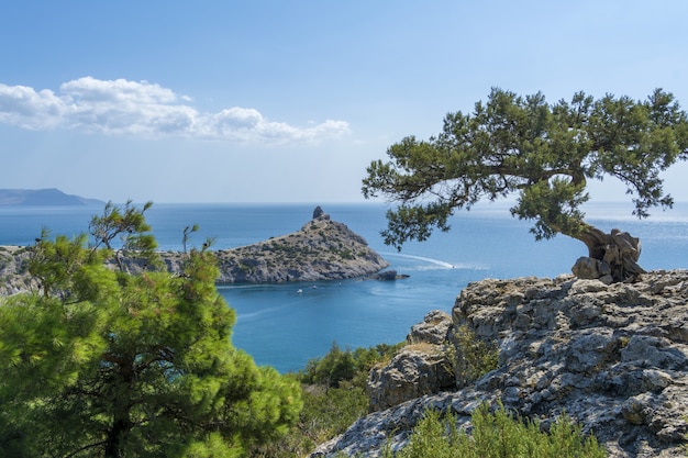 Vista estiva della costa della Crimea. La vista dalle montagne sul Novyi Svet