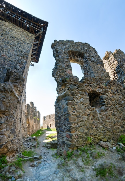 Vista estiva delle rovine del castello di Nevytsky (villaggio di Kamyanitsa, 12 km a nord di Uzhhorod, Oblast di Zakarpattia, Ucraina). Costruito nel XIII secolo. Realizzazione di immagini in tre scatti con obiettivo grandangolare.