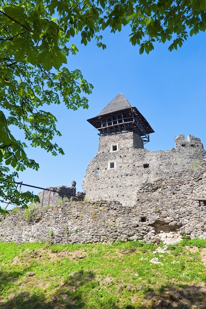 Vista estiva delle rovine del castello di Nevytsky (villaggio di Kamyanitsa, 12 km a nord di Uzhhorod, Oblast di Zakarpattia, Ucraina). Costruito nel XIII secolo.