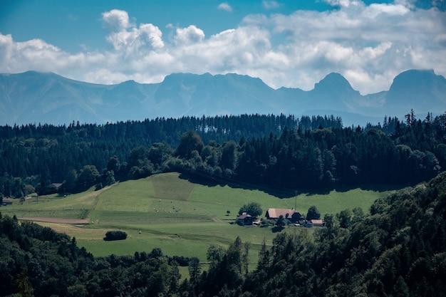 Vista estiva di un bellissimo villaggio apline in Svizzera. campo verde, sentiero con staccionata in legno nel villaggio della Svizzera.