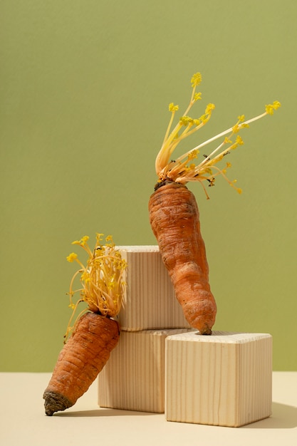 Vista frontale delle carote