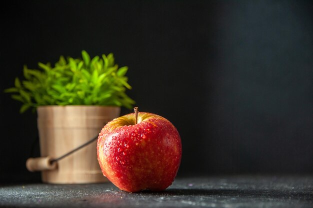 vista frontale mela rossa fresca con pianta verde su sfondo scuro foto albero colore frutta succo di pera matura