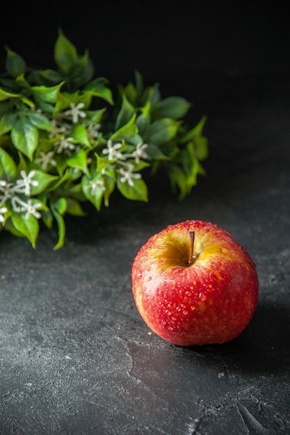 vista frontale mela rossa fresca con pianta verde sullo sfondo scuro foto albero di succo di frutta colore maturo pera dolce