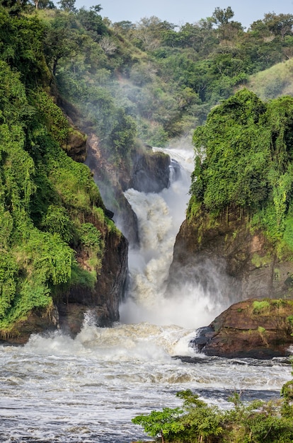 Vista generale delle pittoresche Murchison Falls