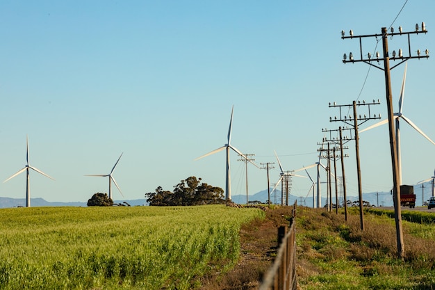 Vista generale delle turbine eoliche nel paesaggio di campagna con cielo senza nuvole. ambiente, sostenibilità, ecologia, energie rinnovabili, riscaldamento globale e consapevolezza dei cambiamenti climatici.