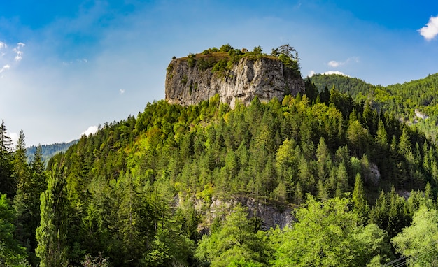 Vista in lontananza sulla Ravna stena (roccia piatta) del monte Tara in Serbia in estate