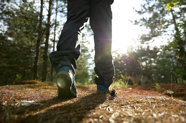 Vista in primo piano sulle gambe degli escursionisti maschi che camminano lungo i sentieri forestali. Stile di vita sano nella natura