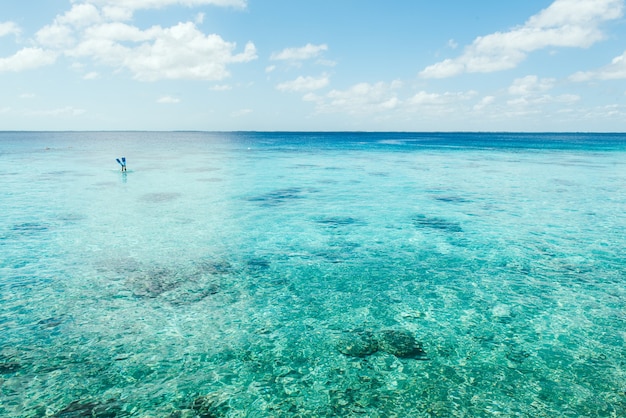 Vista incredibile della spiaggia tropicale Spiaggia di sabbia bianca e chiara in una giornata estiva Onde di mare blu si infrangono sulla spiaggia soleggiata Paesaggio della spiaggia di palme di Cuba Cuba