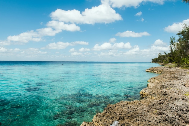 Vista incredibile della spiaggia tropicale Spiaggia di sabbia bianca e chiara in una giornata estiva Onde di mare blu si infrangono sulla spiaggia soleggiata Paesaggio della spiaggia di palme di Cuba Cuba