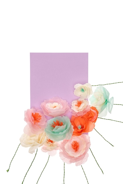 Vista ingrandita di teneri fiori fatti a mano con carta bianca disposti isolati su bianco
