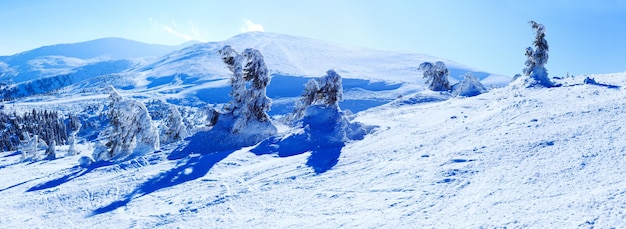 Vista innevata nella serie di paesaggi invernali dei Carpazi Ucraina