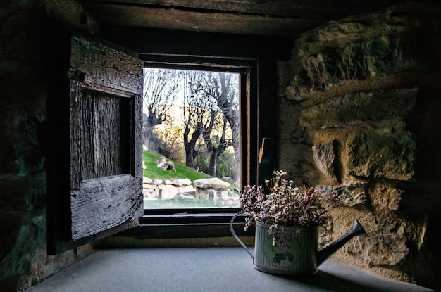 Vista interna dalla finestra di una casa rustica verso un bel giardino alberato.