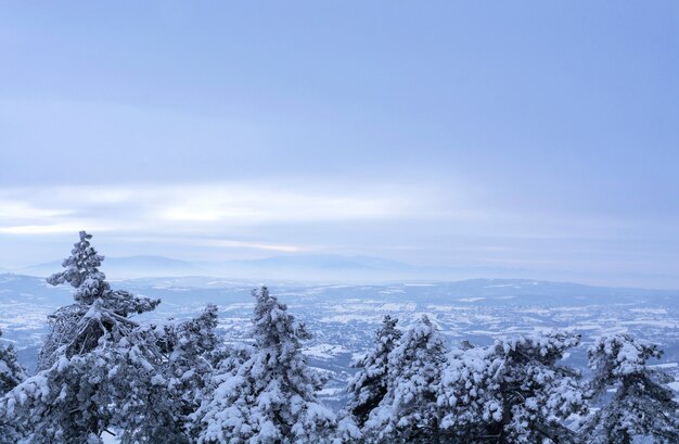 Vista invernale dalla cima della montagna