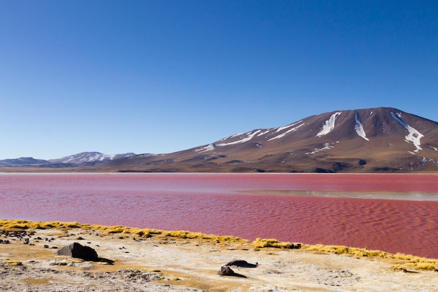 Vista Laguna Colorada Bolivia