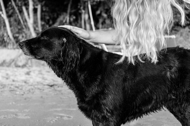 Vista laterale di una donna con un cane