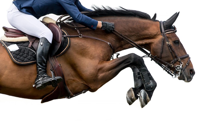 Foto vista laterale di una persona che cavalca un cavallo in competizione