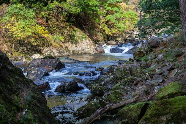 Vista lungo il fiume Glaslyn in autunno