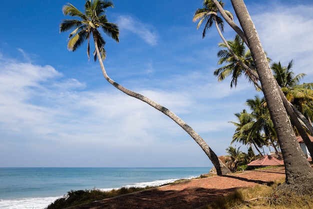 Vista mare in giornata di sole. Parte della spiaggia di Odayam, Varkala, India