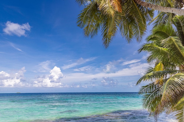 Vista mare mare tropicale con sfondo estivo foglie di palma e cielo blu